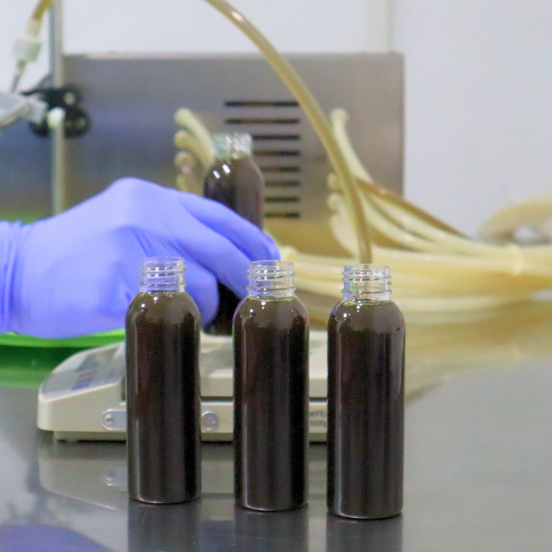 Fasilitas Produksi Herbal