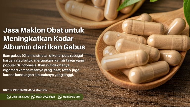 Maklon Obat Albumin