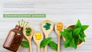 Khasiat Tanaman Herbal untuk Kesehatan Tubuh