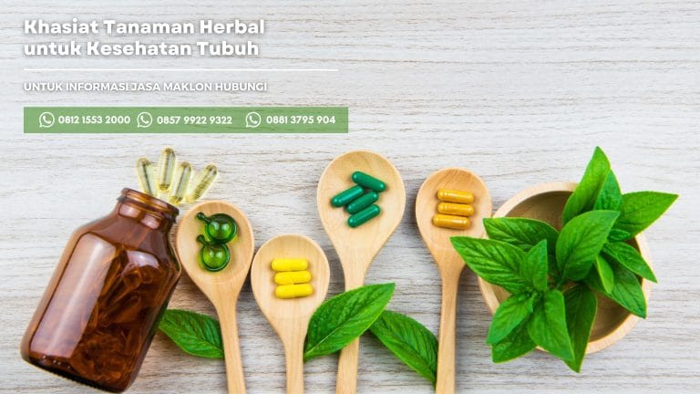 Khasiat Tanaman Herbal untuk Kesehatan Tubuh