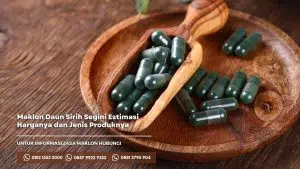 Maklon daun sirih dan estimasi biaya produknya
