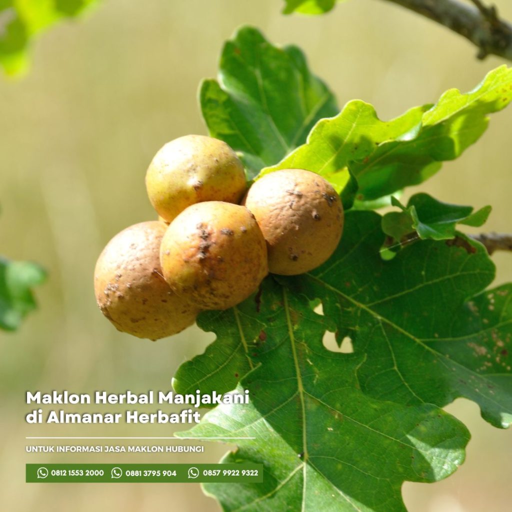 Pabrik Maklon Herbal Manjaki Almanar Herbafit