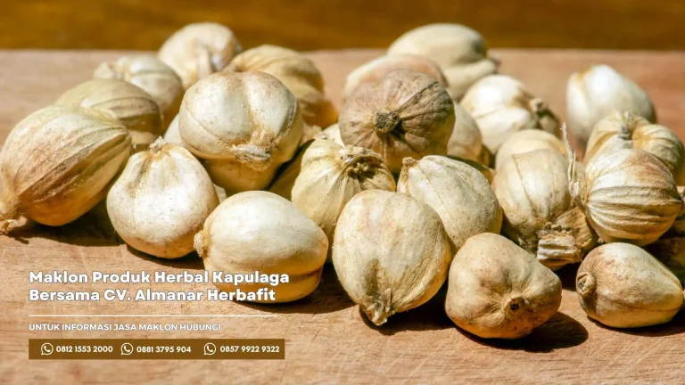 Maklon Produk Herbal Kapulaga Bersama CV. Almanar Herbafit