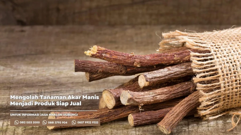 Mengolah Tanaman Akar Manis Hingga Menjadi Produk Siap Jual