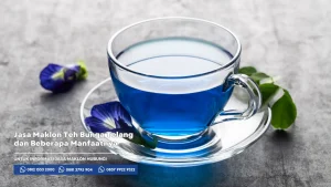 Jasa Maklon Produksi Teh Bunga Telang dan Beberapa Manfaatnya