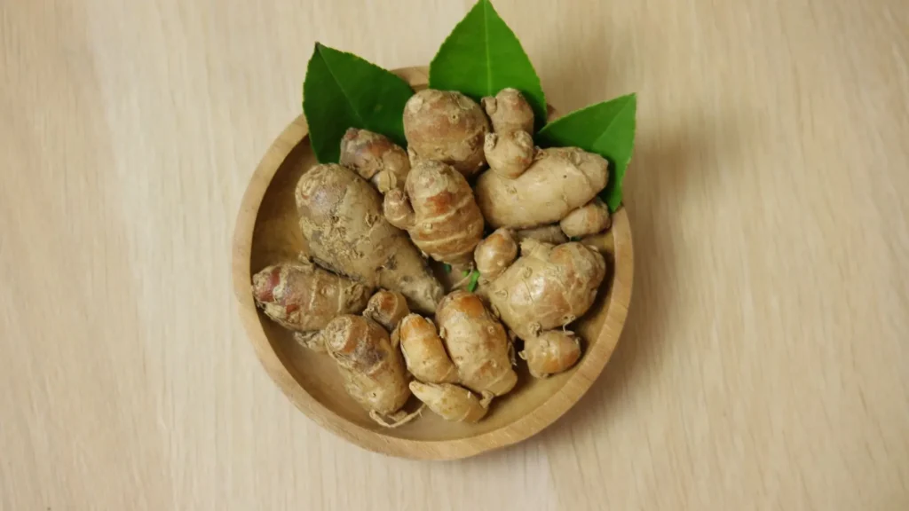 Jasa Maklon Kencur Tempat Produksi Herbal Berkhasiat