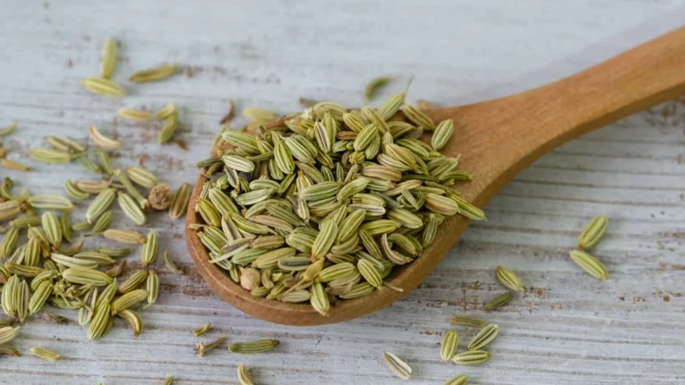 Mengolah Biji Adas Menjadi Menjadi Produk Herbal Siap Jual